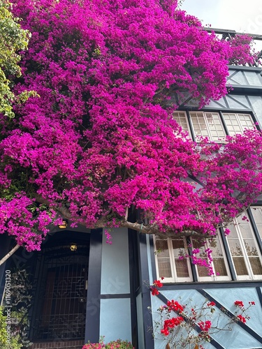 A home with fuchsia flowers outside