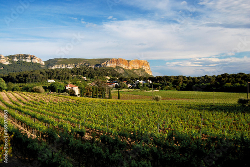 Cap Canaille, Cassis, Provence, France