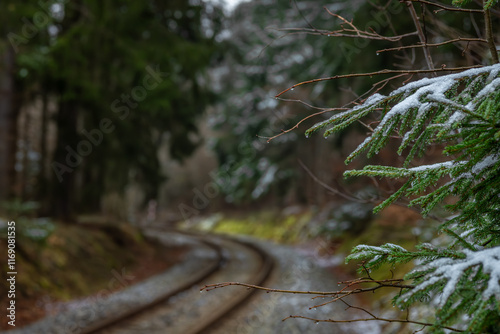 Railway track in winter forest near Lcovice stop village photo