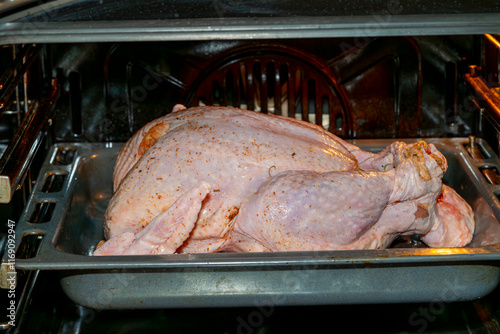 Cooking an unseasoned turkey in an oven for a holiday meal photo