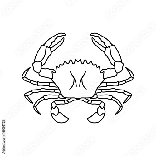 black and white crab vector illustration. seafood and fish. Stone crab flat, sea crab silhouette vector graphics. photo