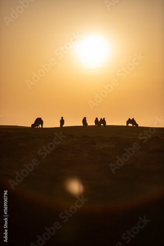 Khongor Sand Dunes in the Gobi Desert of Mongolia. Vast golden sand dunes stretching across the desert landscape, surrounded by mountains and showcasing the unique beauty of one of Mongolia’s most ico