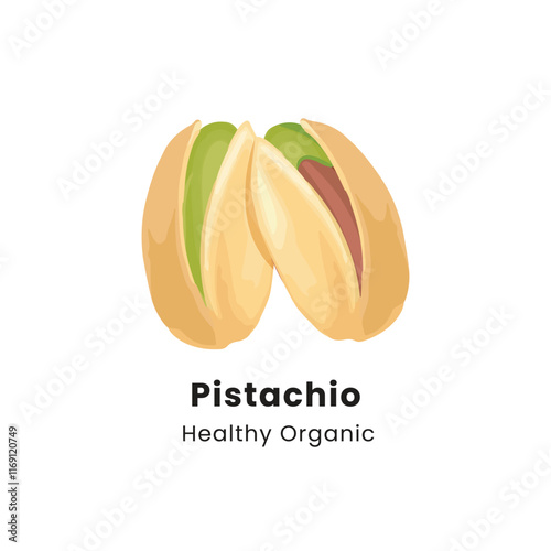 Hand drawn vector illustration of pistachio nuts on a white background
