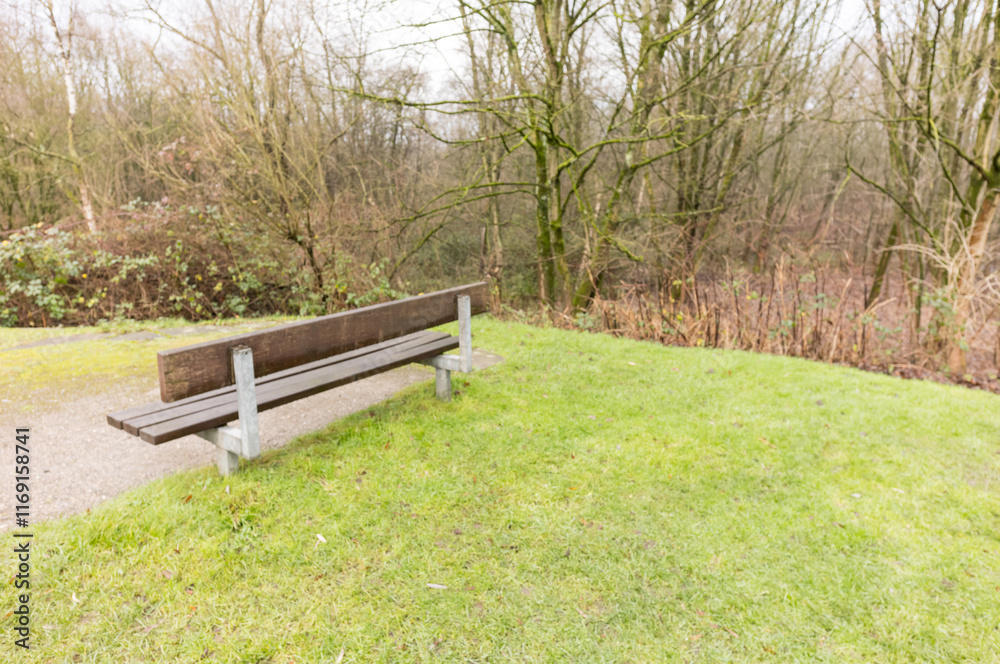 Empty bench inviting visitors to relax in peaceful park Empty bench inviting visitors to relax in peaceful park