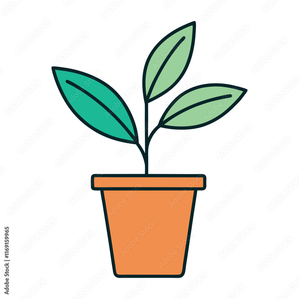 plant in pot plant in pot