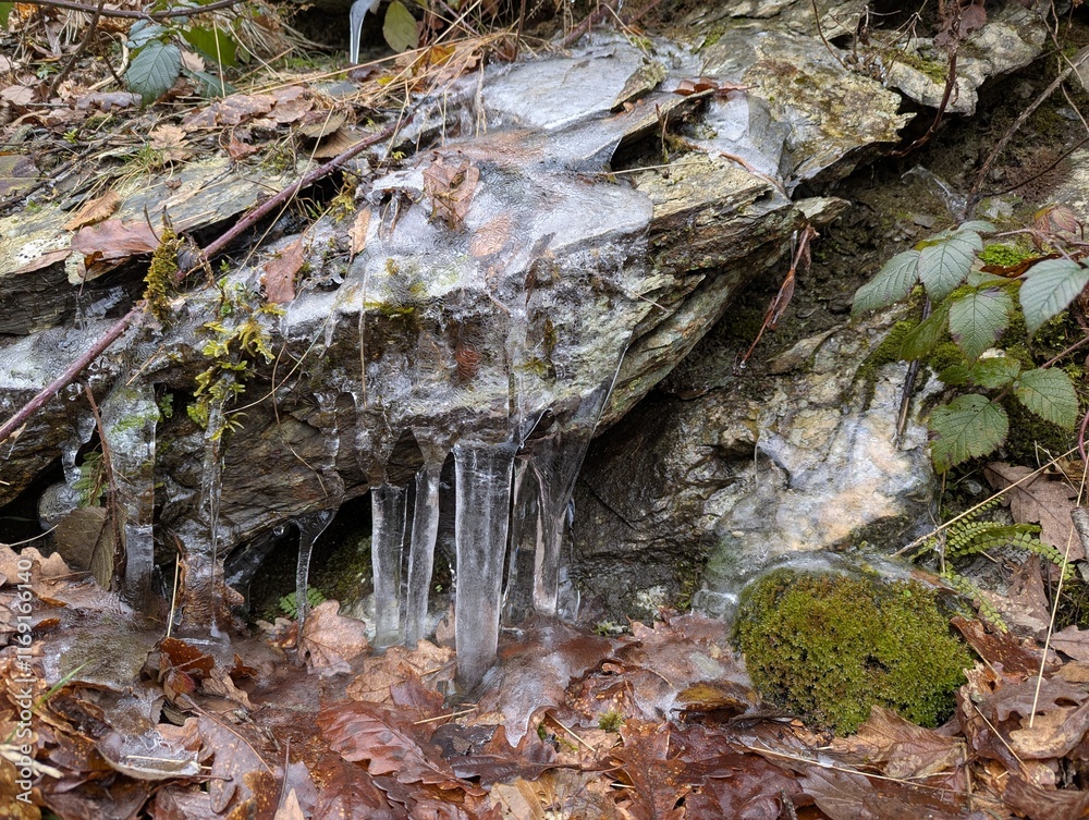 Fototapeta premium Stalactites sur rocher