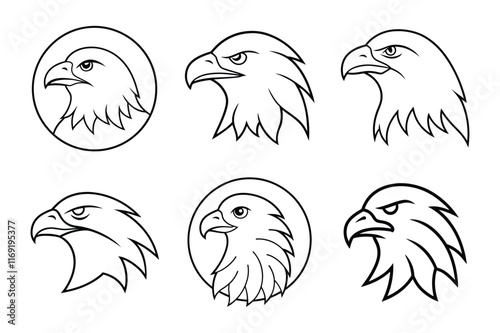 Set of  Eagle Head line art Vector Illustrations - High Quality White Background photo