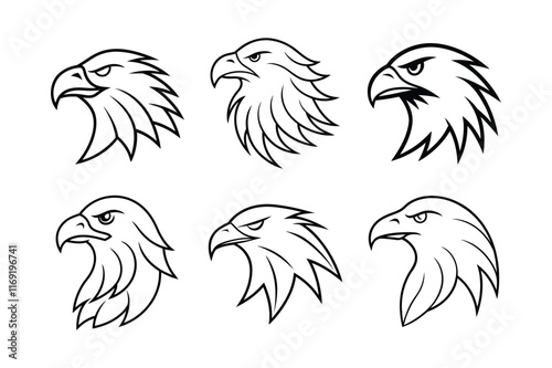 Set of  Eagle Head line art Vector Illustrations - High Quality White Background photo