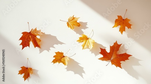 Autumn Leaves Arrangement on White Background
