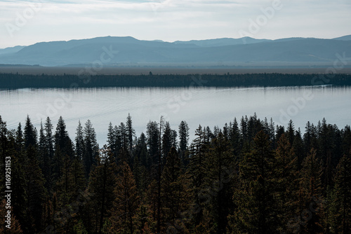 jenny lake overview photo