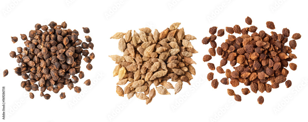 A variety of natural seeds, including coriander, allspice, and others, arranged in piles for visual display, set against a black backdrop. A variety of natural seeds, including coriander, allspice, and others, arranged in piles for visual display, set against a black backdrop.