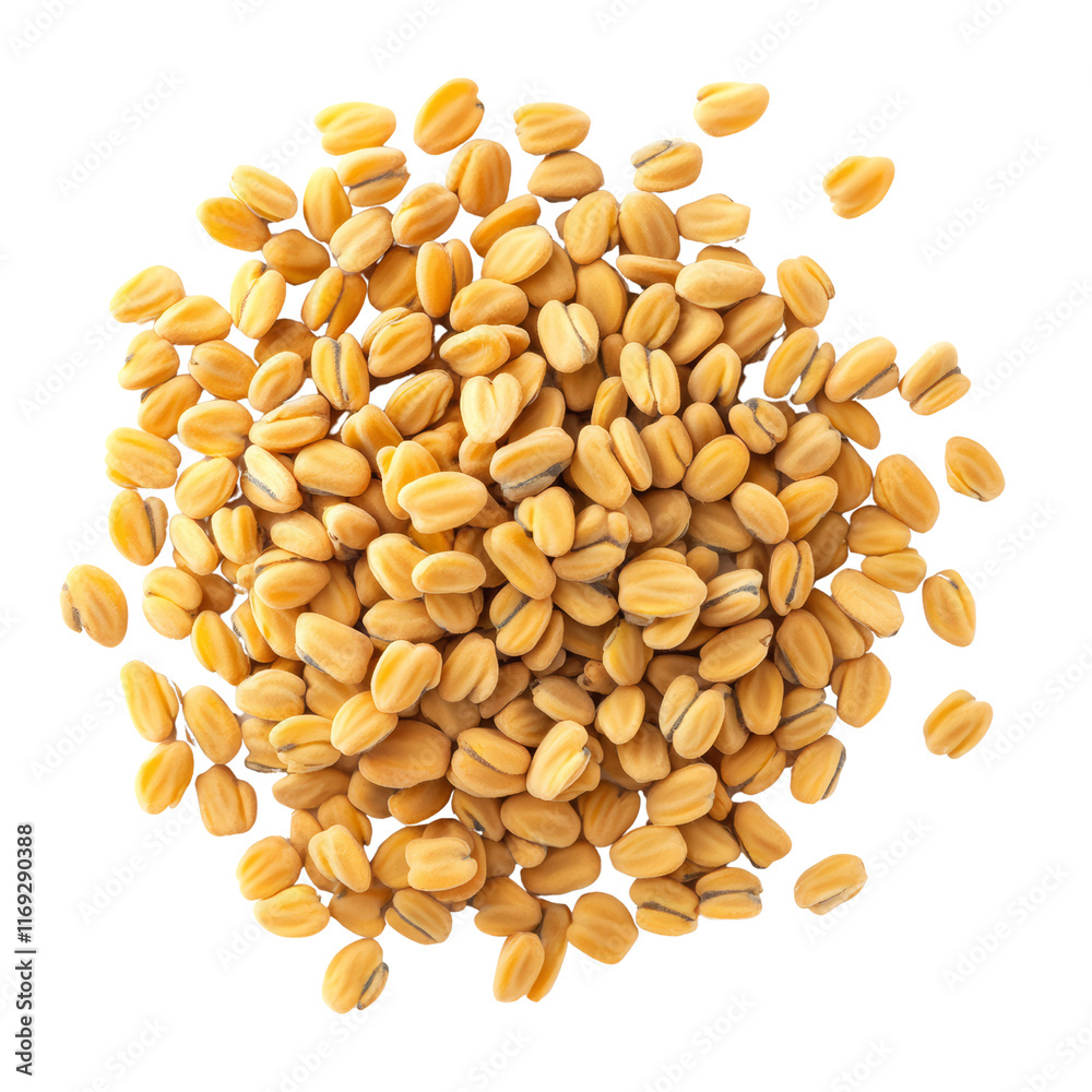 A close-up of golden wheat kernels, showcasing their vibrant color and natural texture, perfect for food photography or agricultural imagery. A close-up of golden wheat kernels, showcasing their vibrant color and natural texture, perfect for food photography or agricultural imagery.
