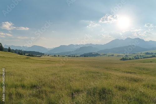 Obraz na płótnie Expansive grassy plains under a bright sun with distant mountains creating a tranquil landscape around midday w salonie