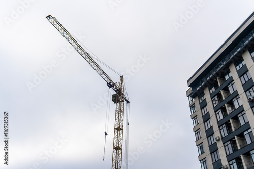 Crane on the background of a new house