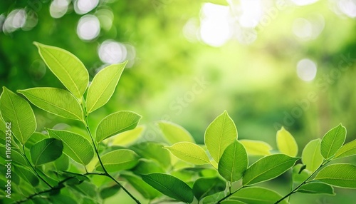 green leaves on a sunny day
