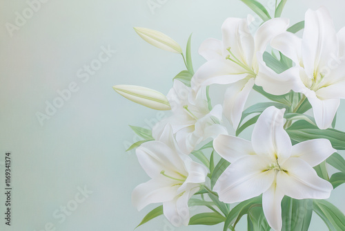 Elegant white lilies on a soft pastel background