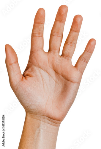PNG A human hand is open, displaying fingers spread wide and palm visible, emphasizing its natural shape and texture.