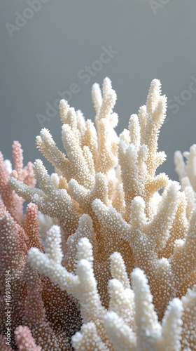 Vibrant coral patterns illustrating ocean life underwater habitat abstract environment close-up view marine ecology photo