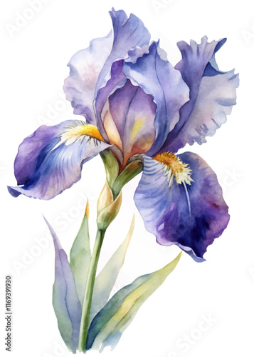 Beautiful watercolor iris flower, vibrant purple petals, delicate green leaves, artistic floral illustration, nature-inspired decor.