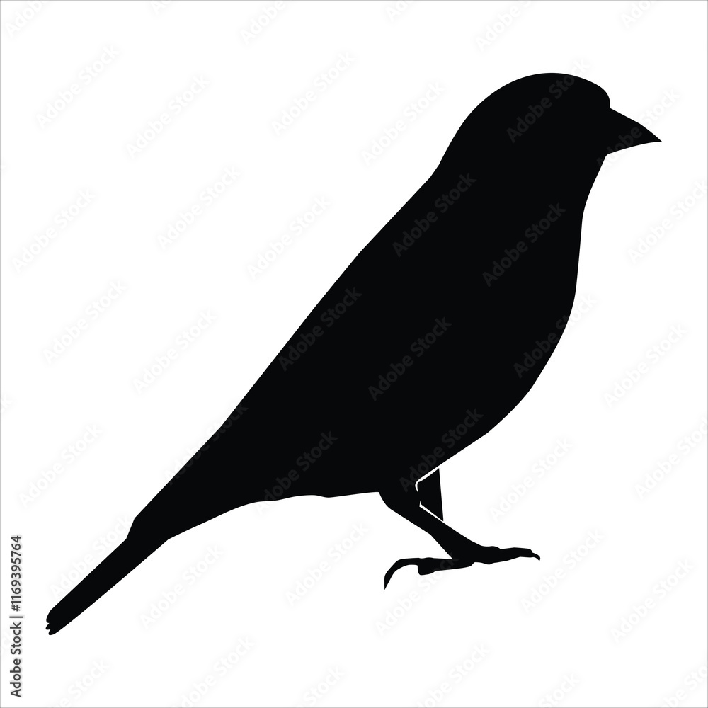 Fototapeta premium silhouette of a bird