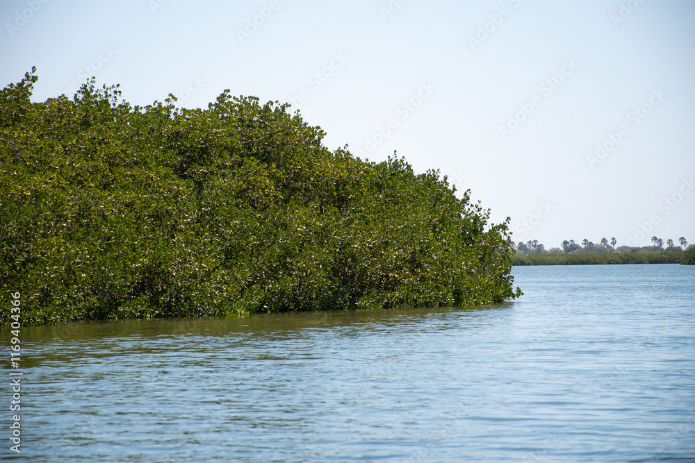Exploring the Saloum River Delta by boat in Senegal Exploring the Saloum River Delta by boat in Senegal