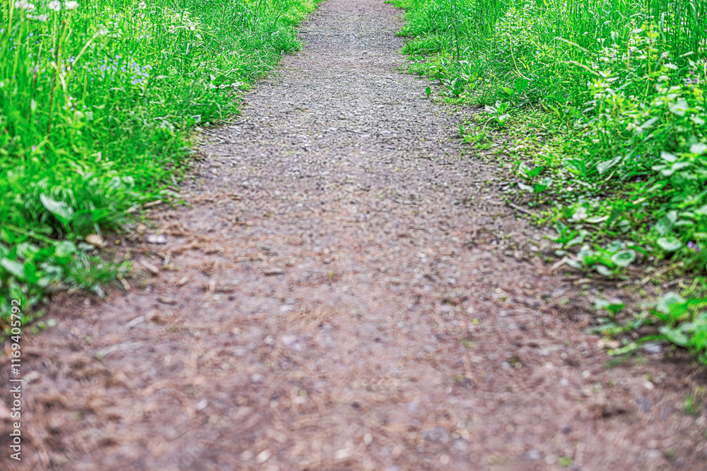 Gravel path crossing a grassy meadow with serenity.