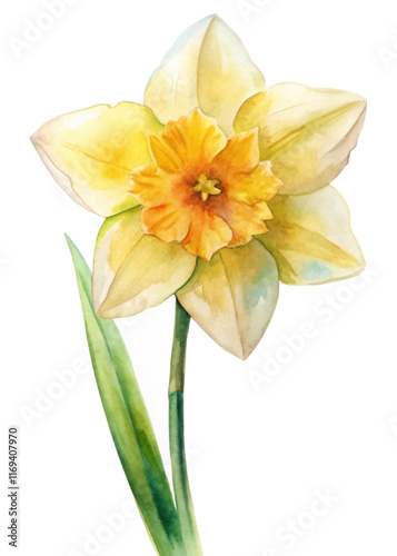 Watercolor daffodil flower, vibrant yellow petals, green leaves, botanical illustration, nature art, floral decor.