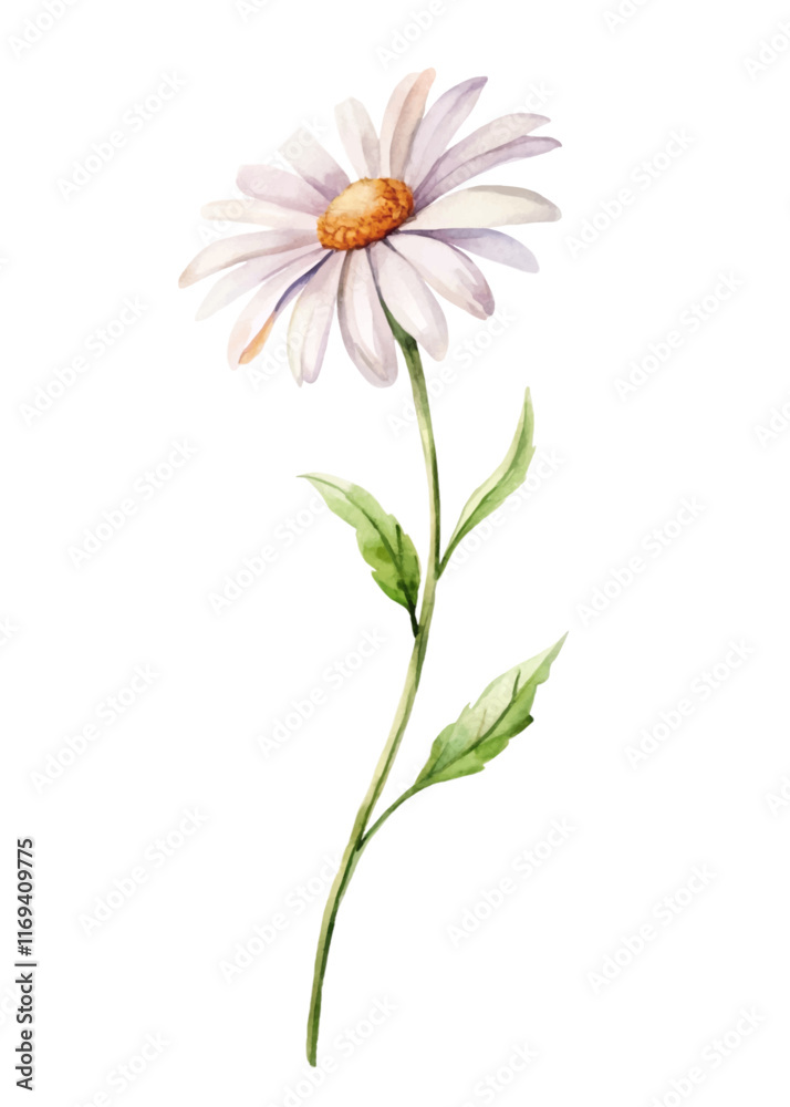 Watercolor flower illustration, delicate daisy design, botanical art style, nature-inspired decor, floral print. Watercolor flower illustration, delicate daisy design, botanical art style, nature-inspired decor, floral print.