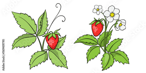 Colorful Painted Strawberry Bushes