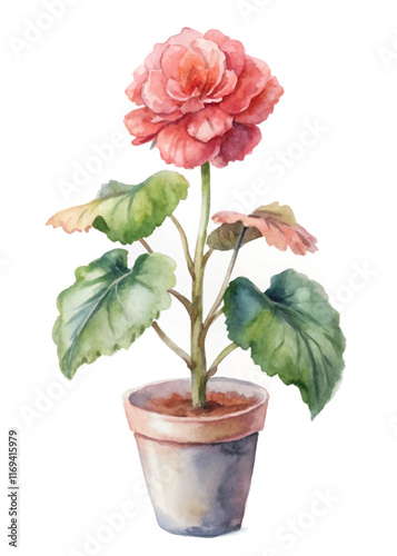 Watercolor flower illustration, vibrant pink petals, green leaves, potted plant design, botanical art style.