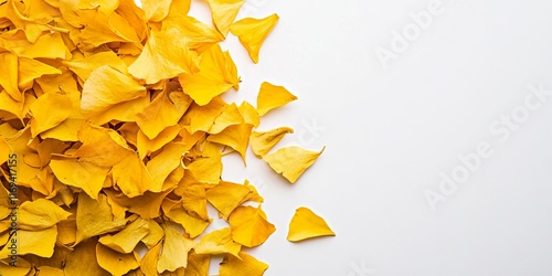 Golden Ginkgo Leaves Scatte...
