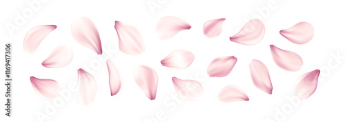 Realistic Pink Cherry Blossom Flowers Petal Set Isolated on White Background. Vector Illustration