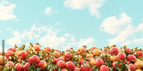 Abundant Red Apples Under a...