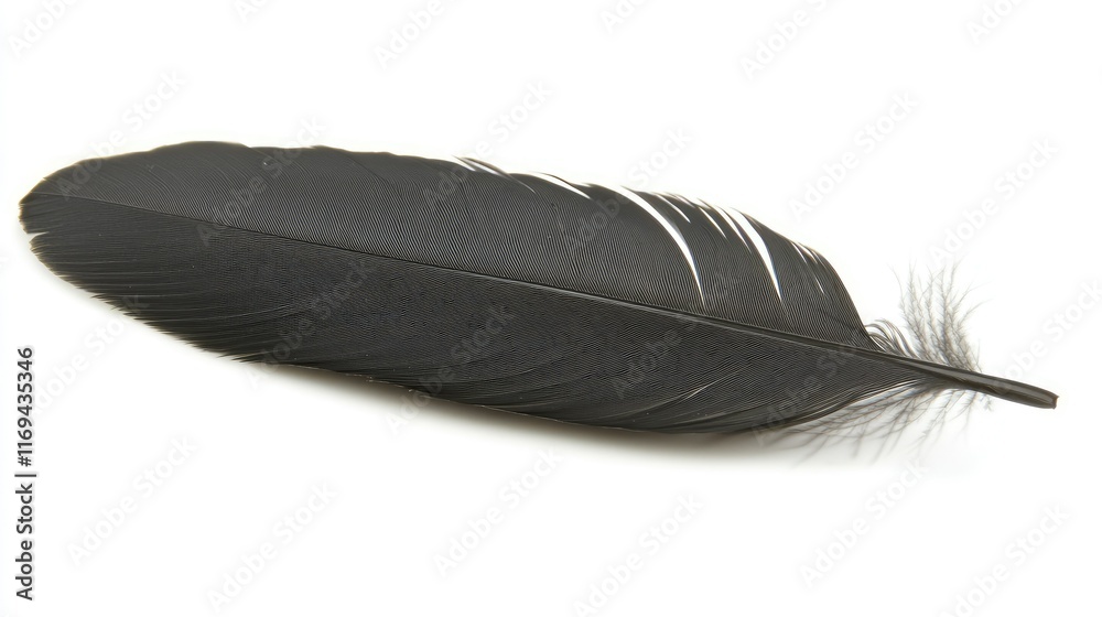 A beautiful black feather with its soft, intricate details highlighted against a bright white background, emphasizing its natural elegance. A beautiful black feather with its soft, intricate details highlighted against a bright white background, emphasizing its natural elegance.