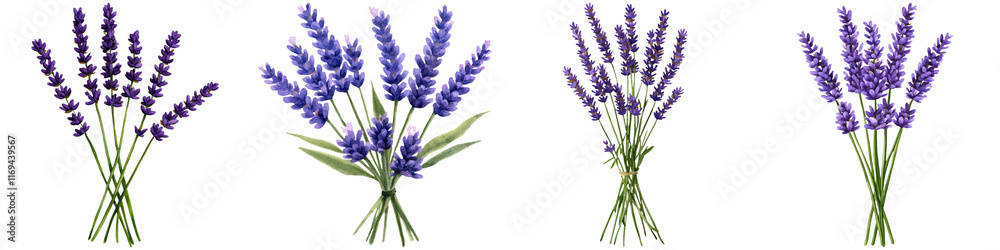 Fototapeta premium Watercolor lavender design and botanical minimalist, A collection of lavender bouquets showcasing rich purple blooms and lush green stems, arranged in various styles.