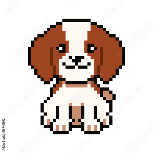 Pixel art cute cavalier king charles spaniel dog vector in retro style for design.