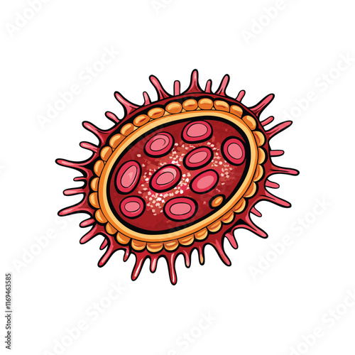 Vector illustration of Neisseria gonorrhoeae bacteria. photo