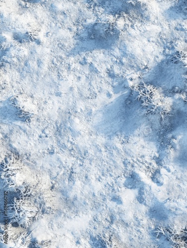 Aerial View of a Snow Cover...