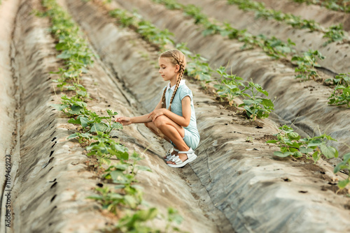 Canvas Print A gardener girl takes care of cucumbers in a farm greenhouse