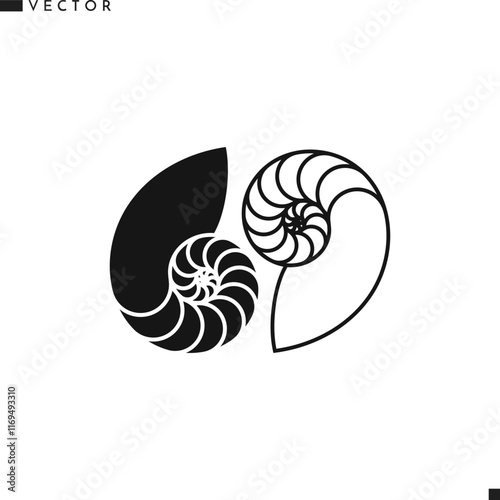 Nautilus shell silhouette. White and black shell vector