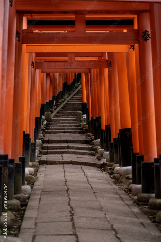 torii infinite stairs shrine in japan, Fushimi Inari torii infinite stairs shrine in japan, Fushimi Inari