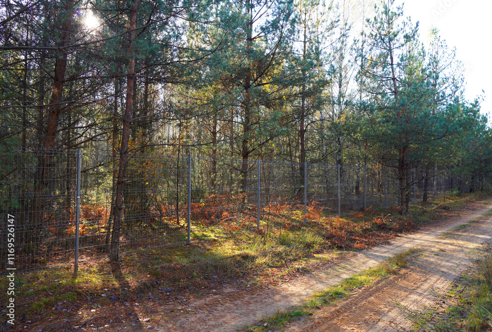 Fototapeta premium Border as metal fence in forest. Fence with metal mesh in wildlife with trees. Fence for animal protection. Protected area, restricted area, private property. Protect and ensure the safety of animals.