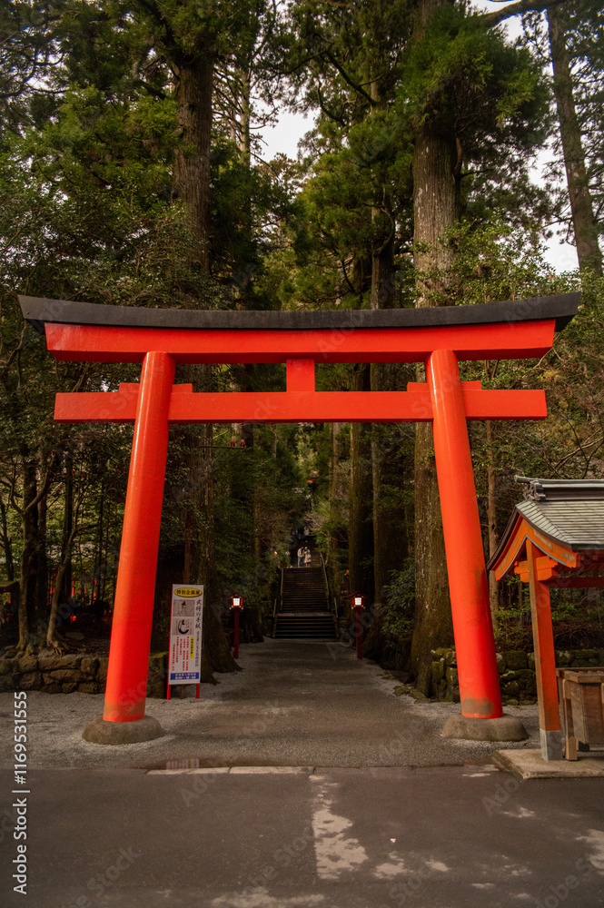 japanese temple red torii in the woods japanese temple red torii in the woods