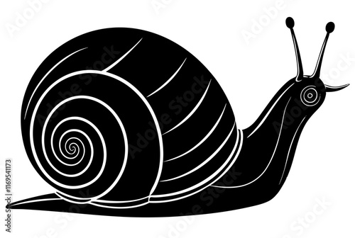 Detailed Black and White Snail Vector Illustration