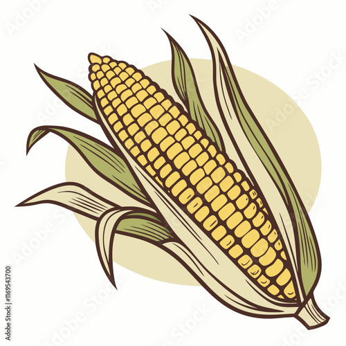 corn cobs isolated on white