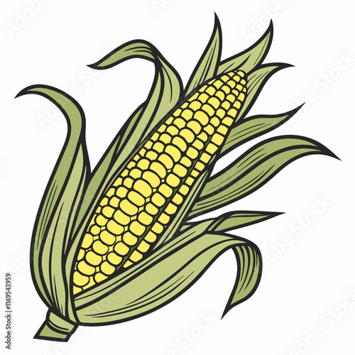corn cobs isolated on white