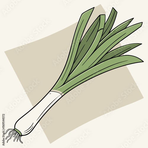 illustration of an onion