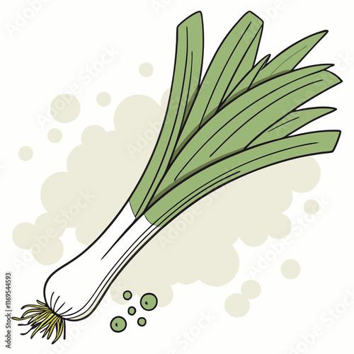 illustration of a green onion