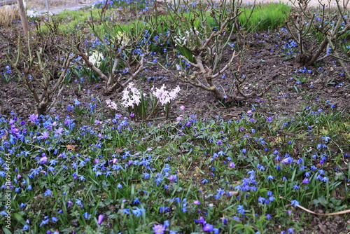 Blick in den alten Kurpark von Bad Gögging in Bayern photo