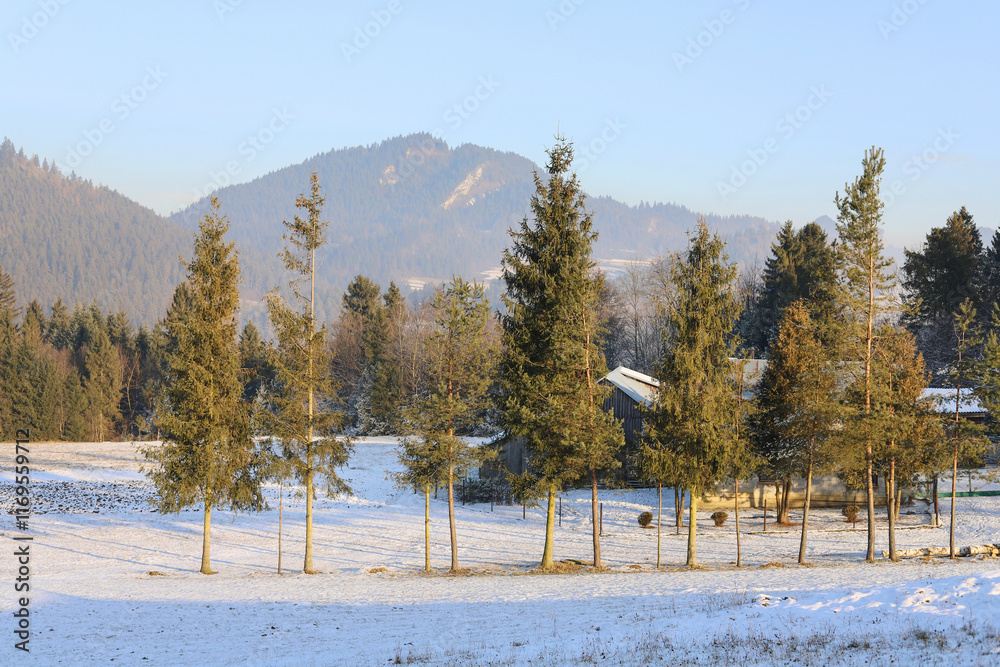 Too little snow cover in the mountains. View of trees, melting snow and a panorama of the wild area.